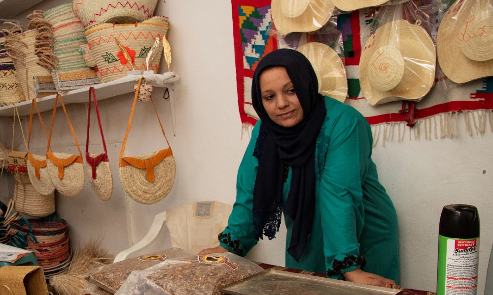 Lessons in innovative financing for creating employment in the Middle East and North Africa