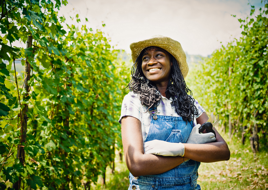 A Pathway to Adoption of Yield-Enhancing Agricultural Technologies among the Rural Poor: Evidence from a Randomized Control Trial in Benin