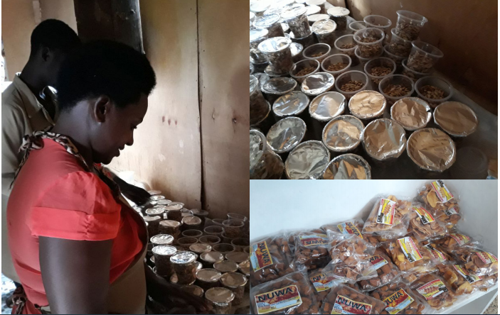 Youth-to-youth mentorship approach in agripreneurship development